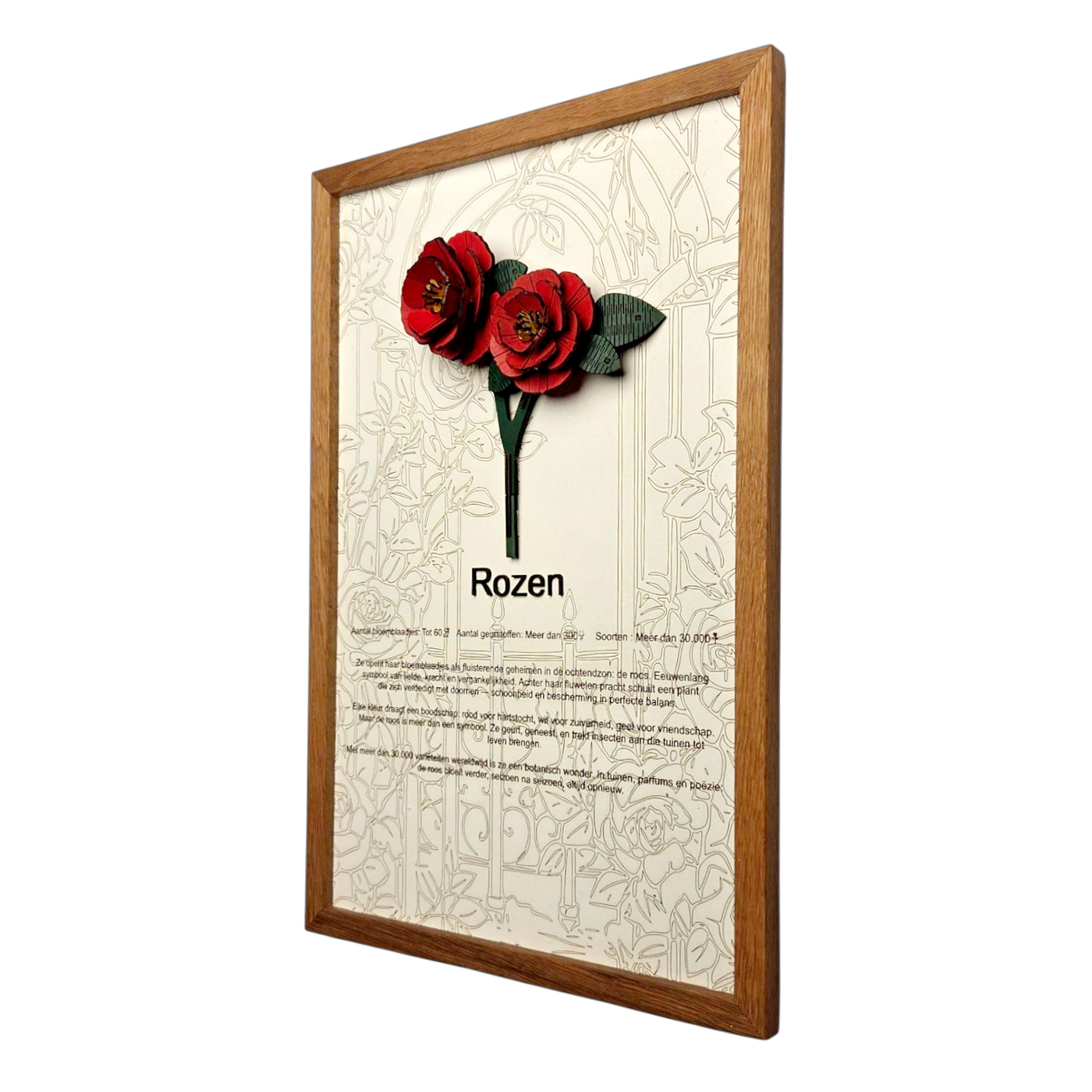 Rozen Poster
