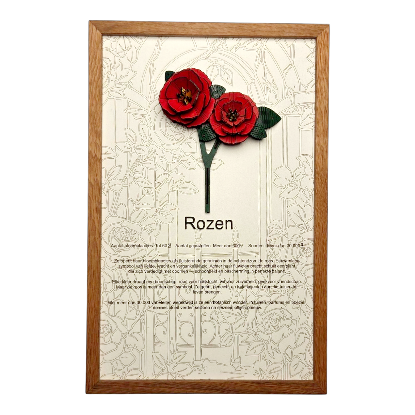 Rozen Poster