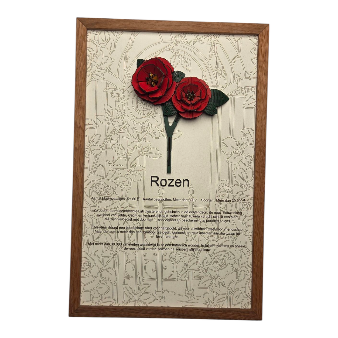 Jouw custom poster