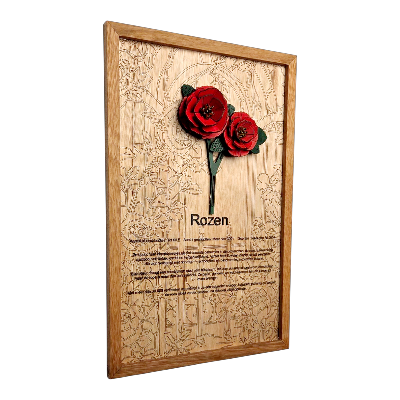 Rozen Poster