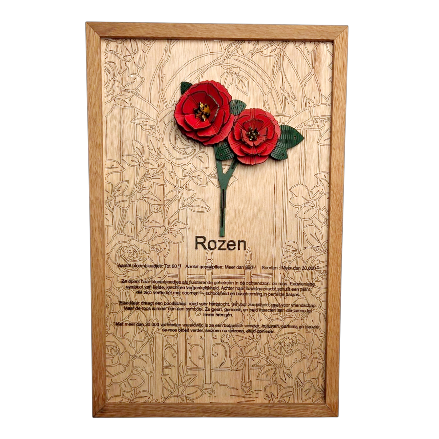 Rozen Poster