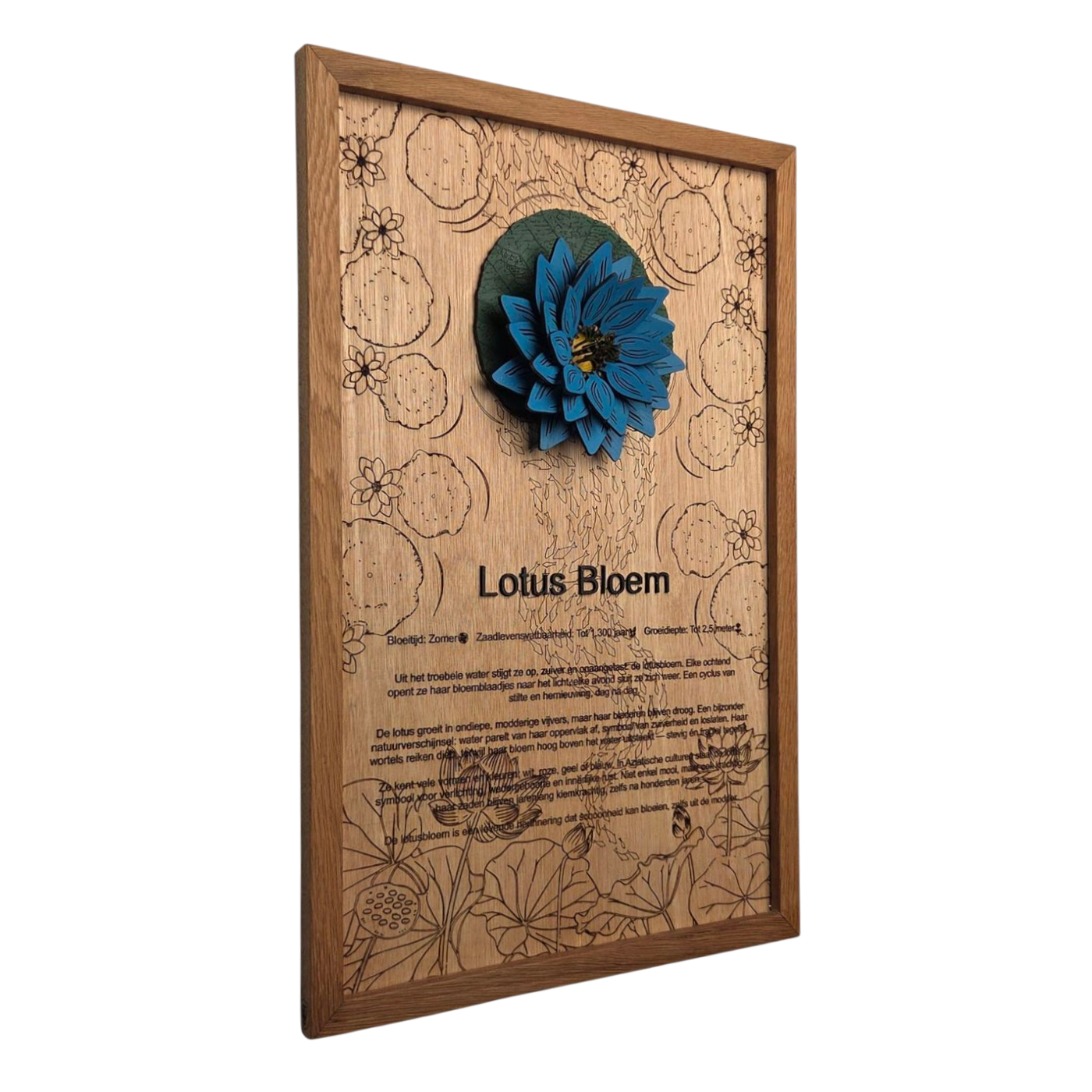 Lotusbloem poster