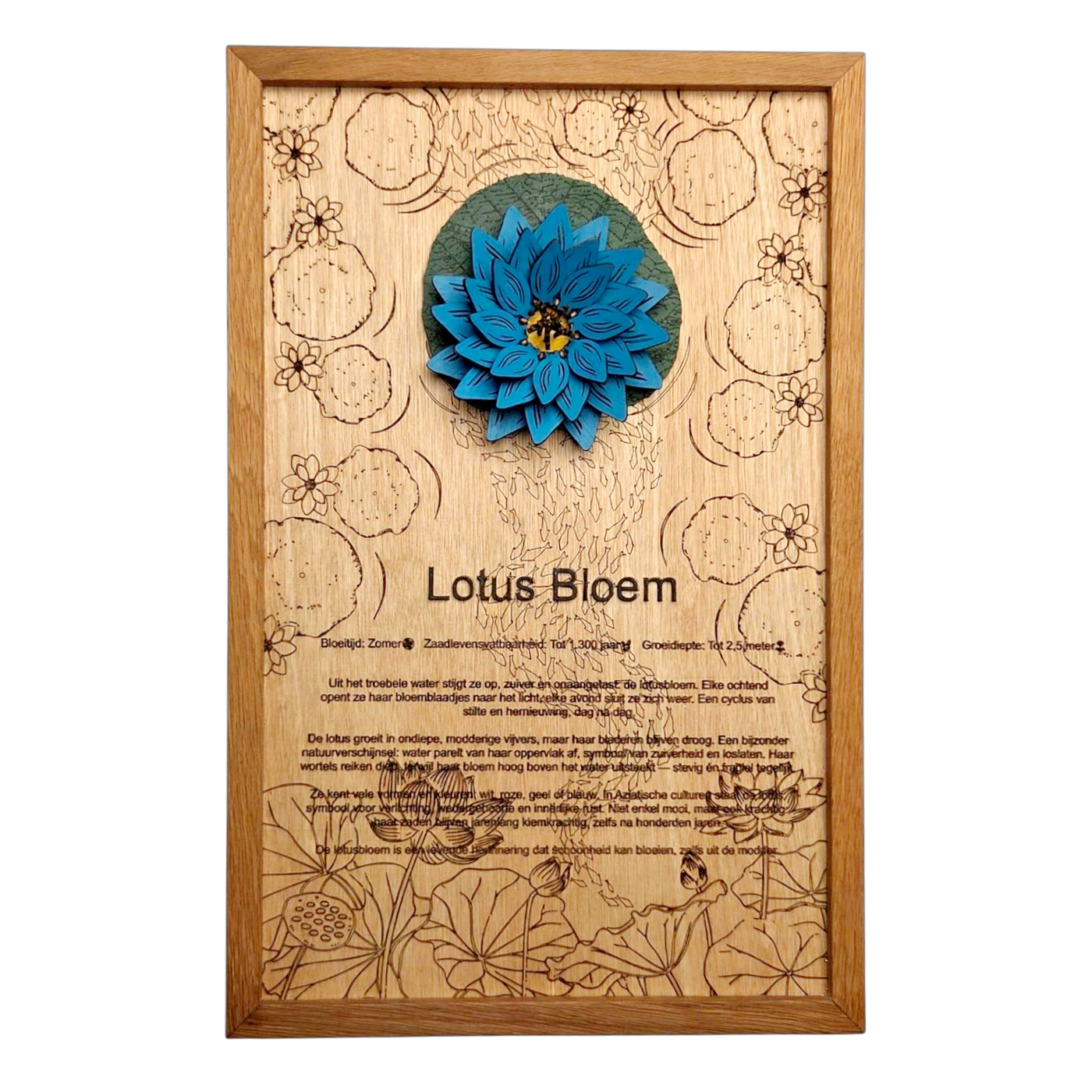 Lotusbloem poster