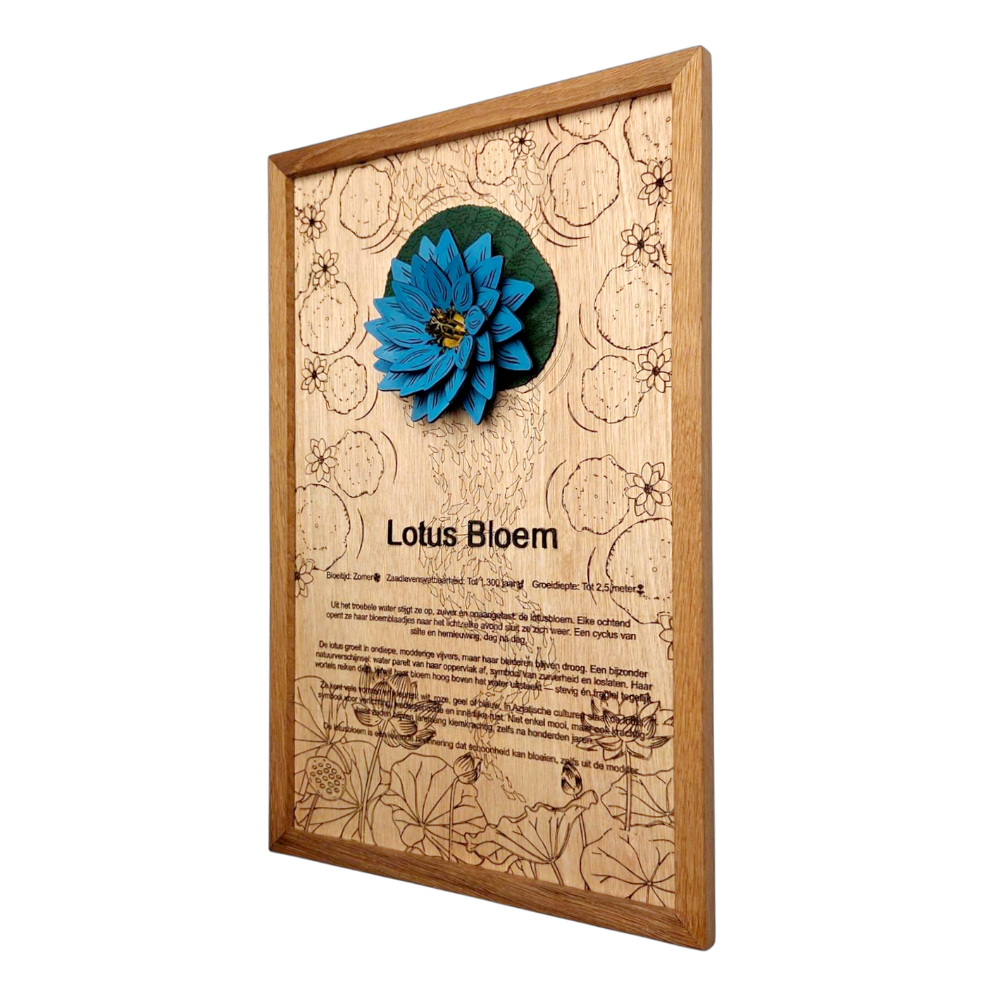 Lotusbloem poster