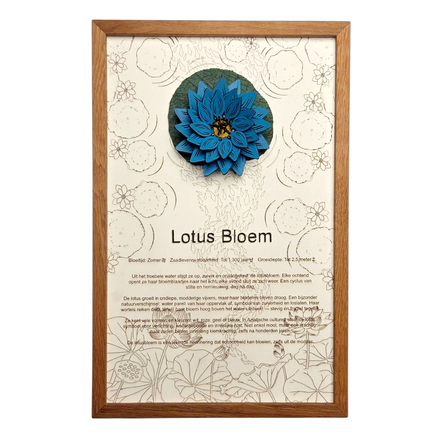 Lotusbloem poster