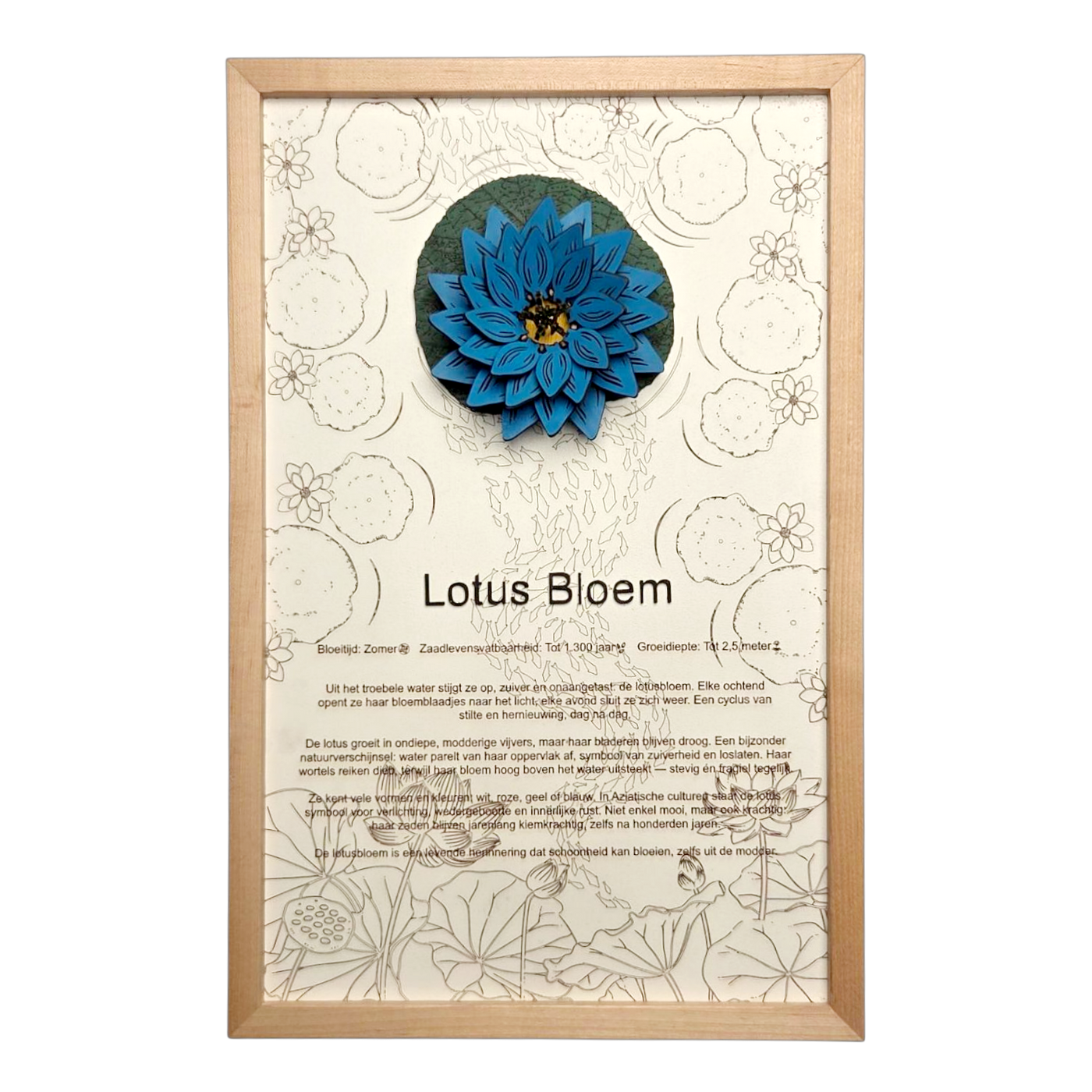 Lotusbloem poster