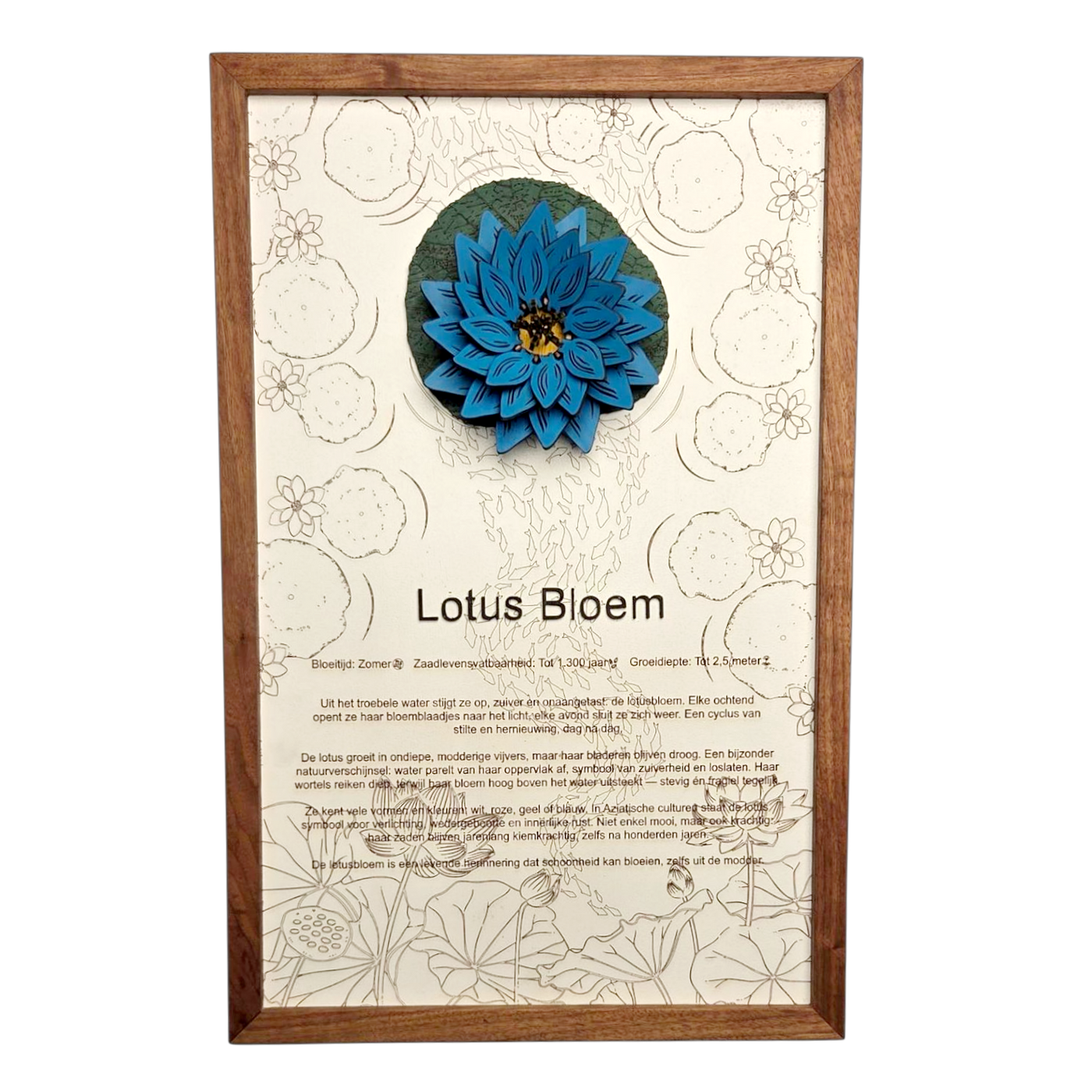 Lotusbloem poster