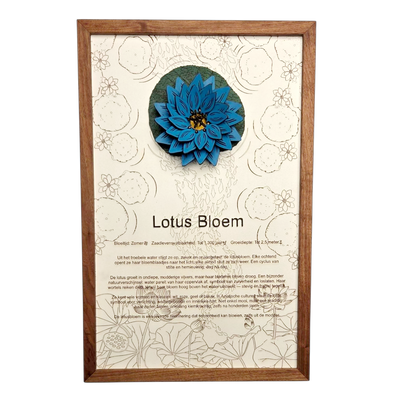 Lotusbloem poster