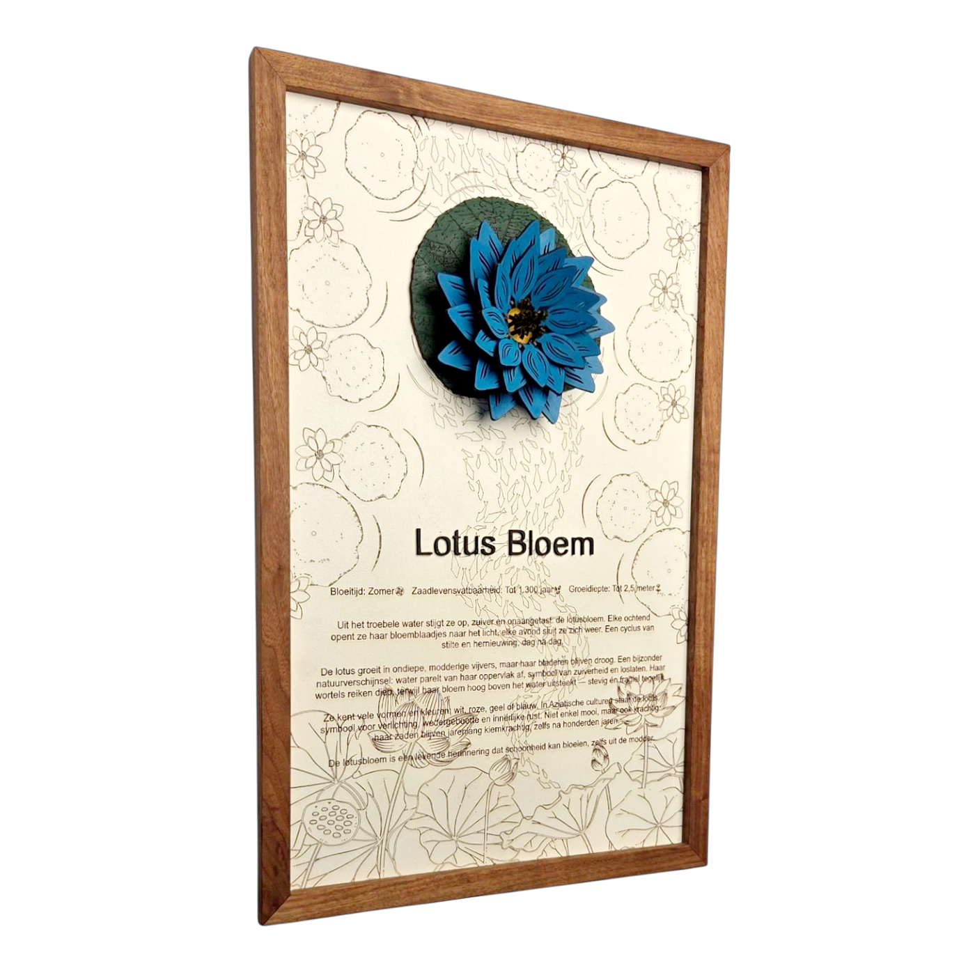 Lotusbloem poster