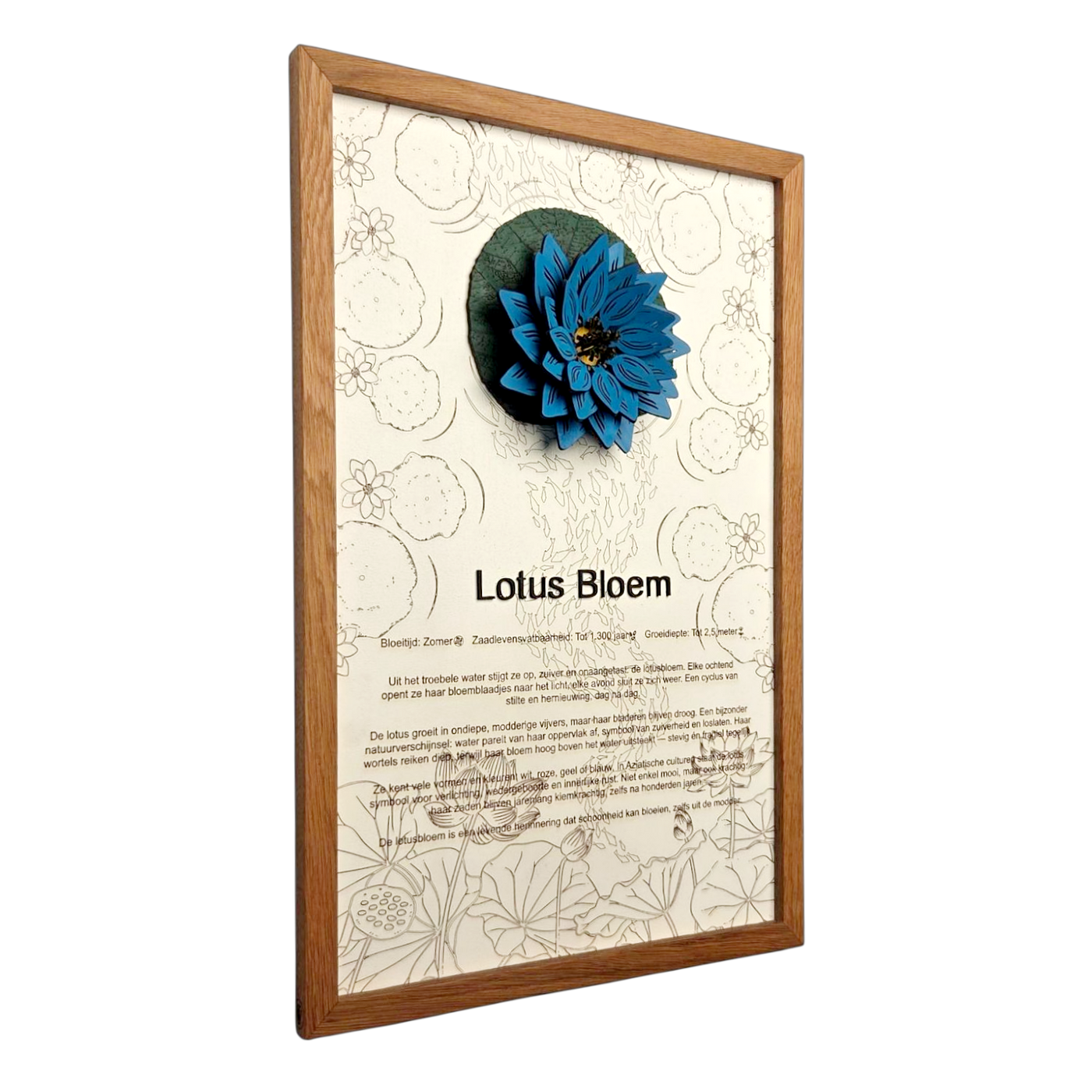 Lotusbloem poster