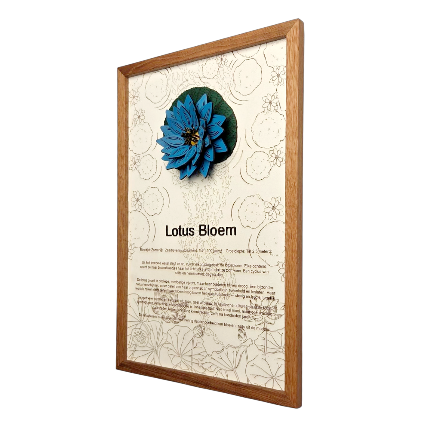 Lotusbloem poster