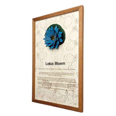 Lotusbloem poster