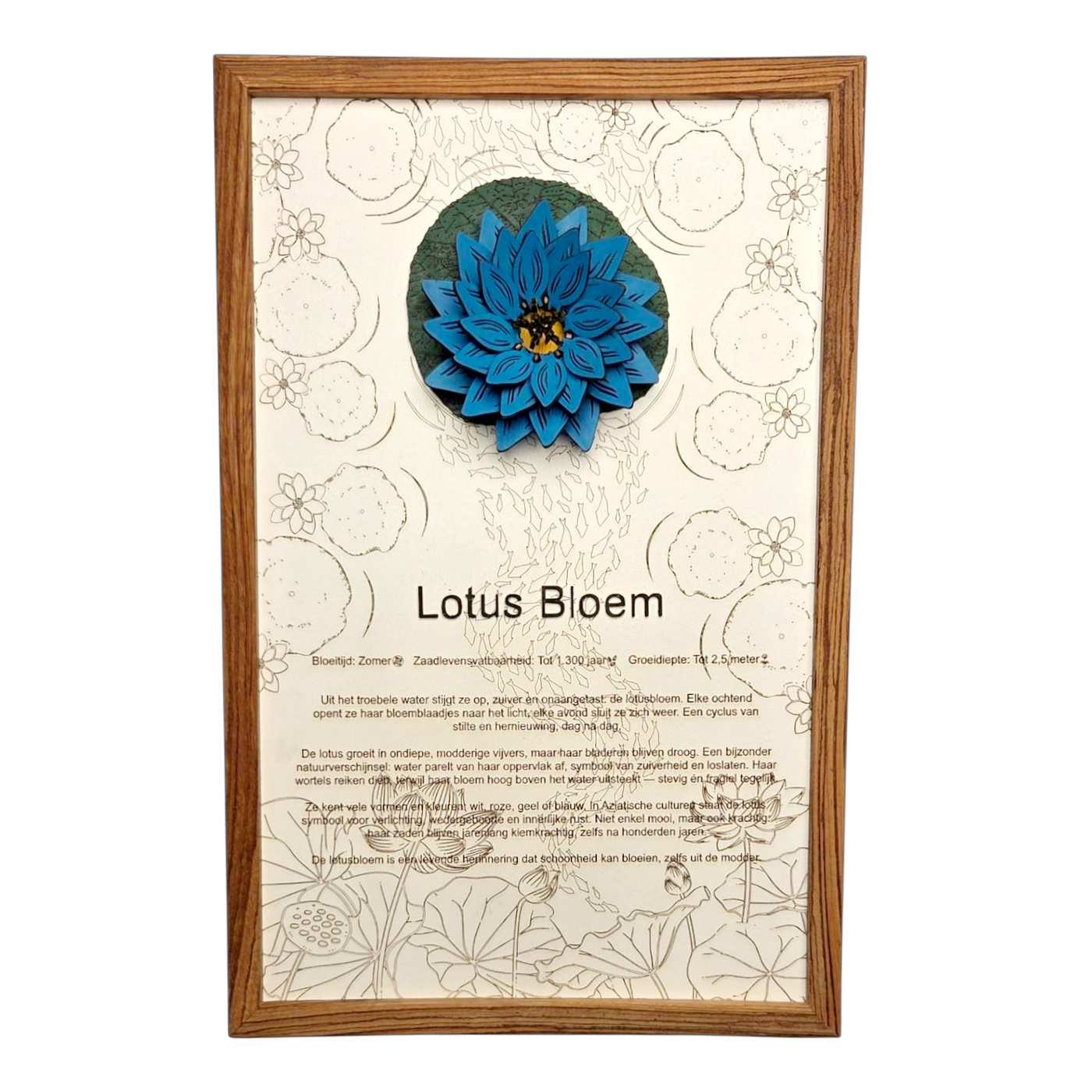 Lotusbloem poster