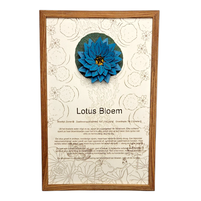 Lotusbloem poster