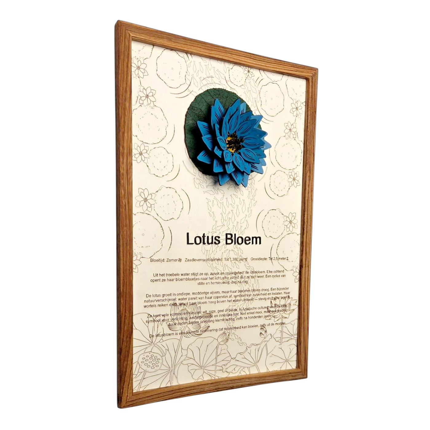 Lotusbloem poster