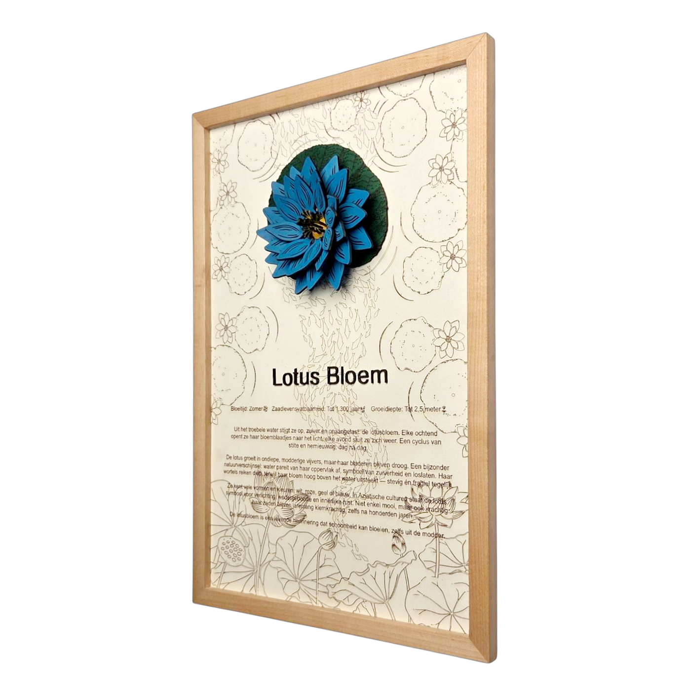 Lotusbloem poster