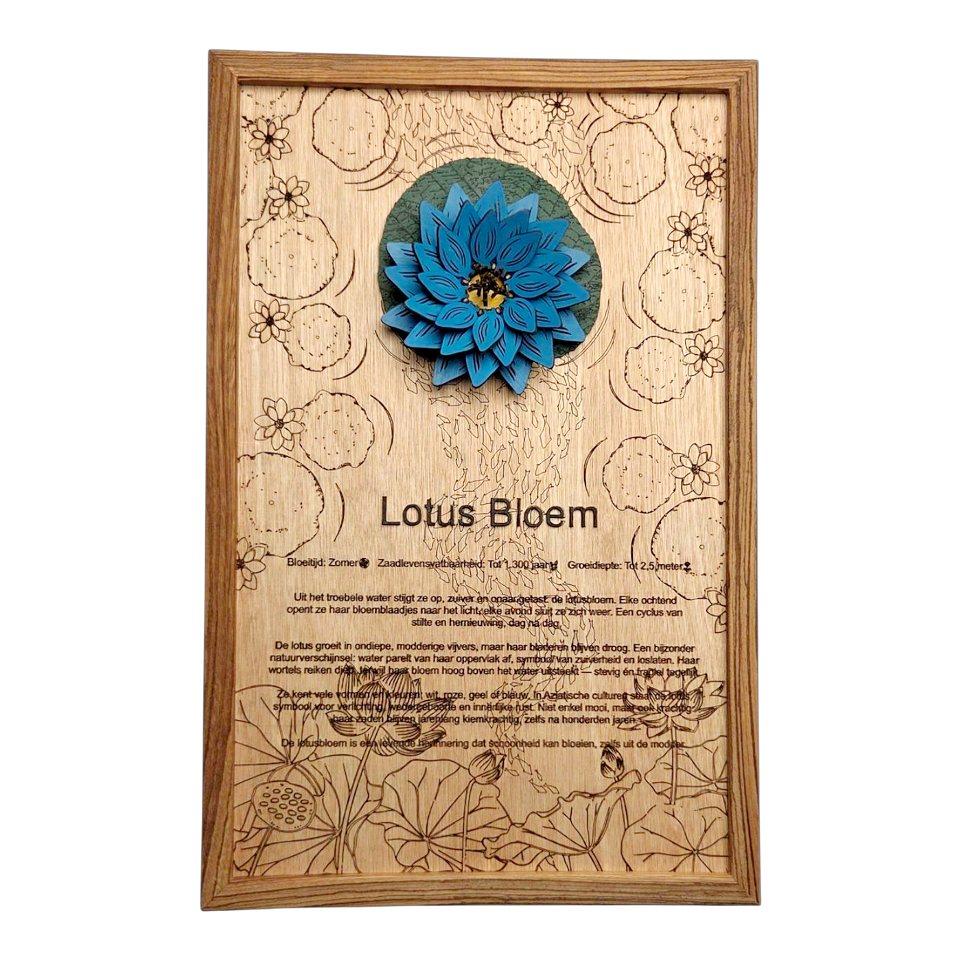 Lotusbloem poster