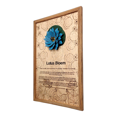 Lotusbloem poster