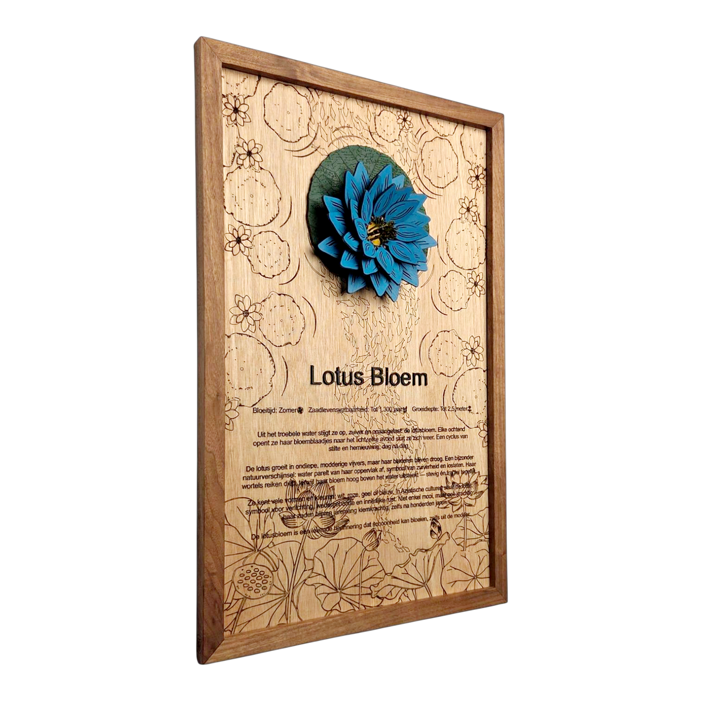 Lotusbloem poster