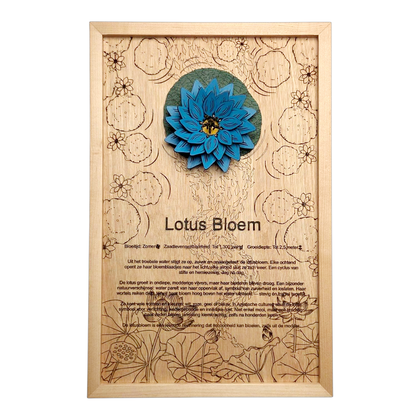 Lotusbloem poster