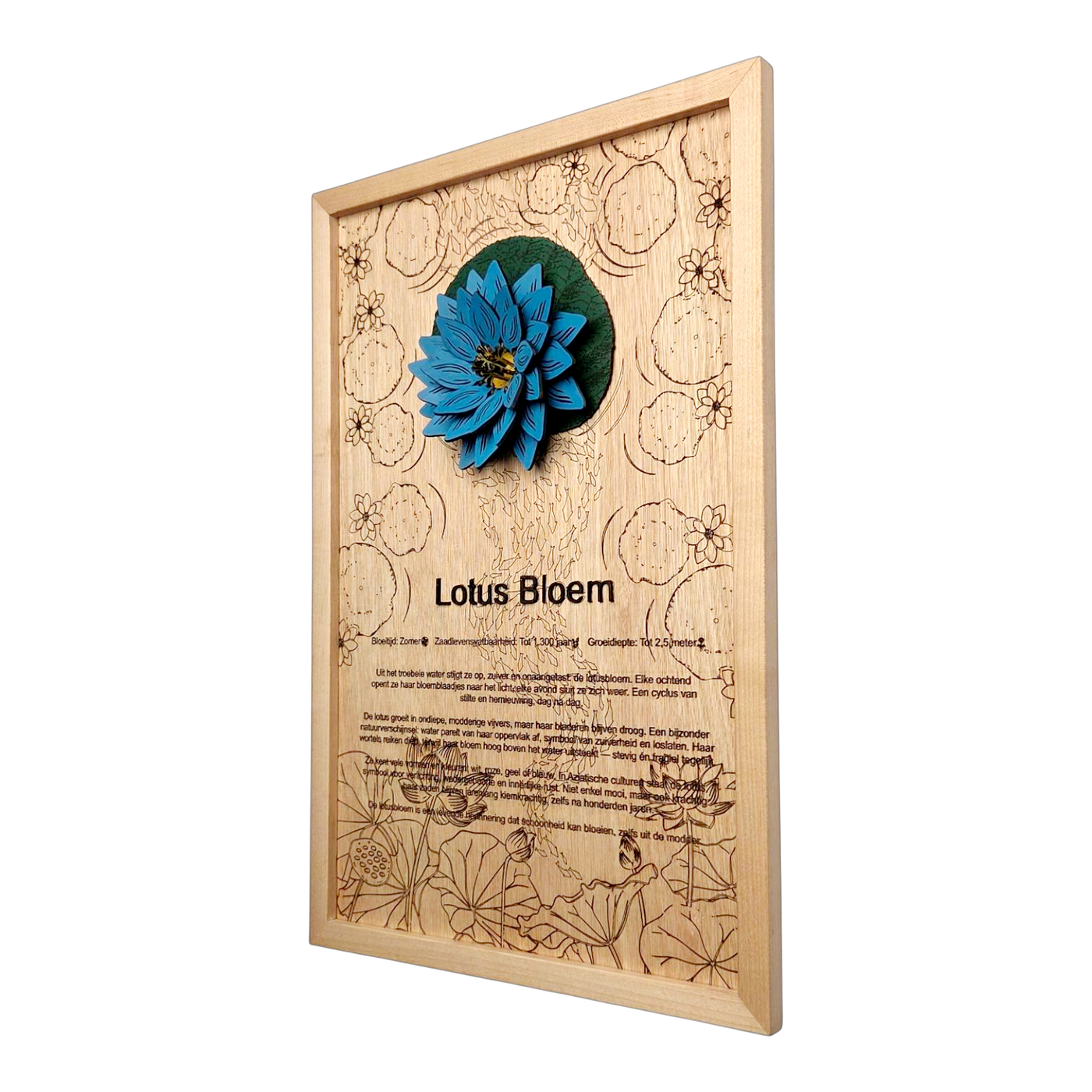 Lotusbloem poster
