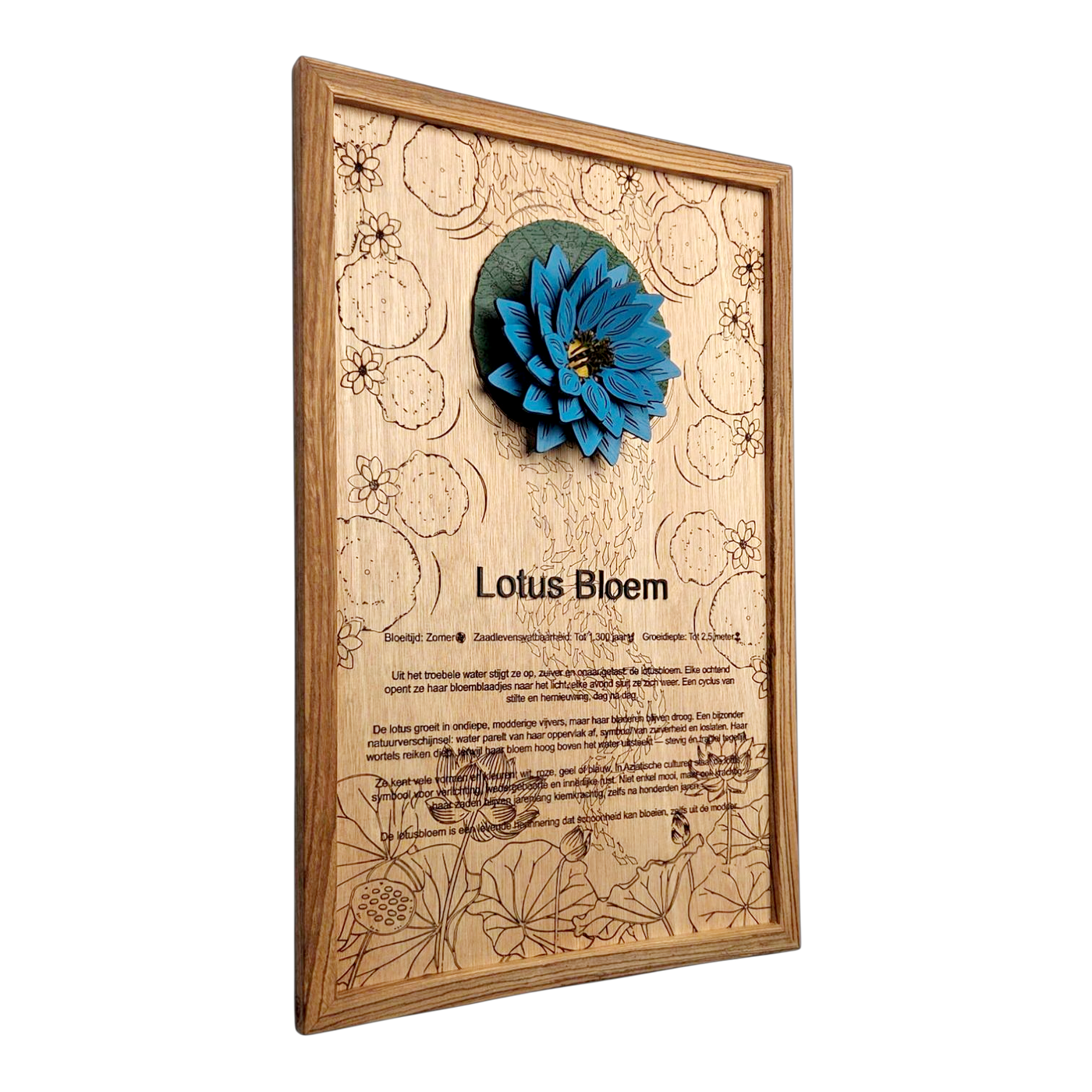 Lotusbloem poster