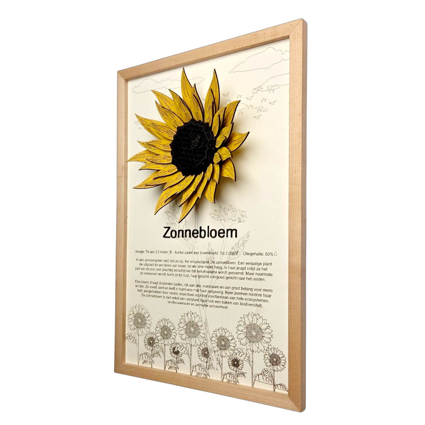 Zonnebloem Poster