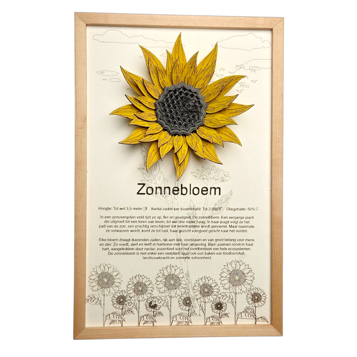 Zonnebloem Poster