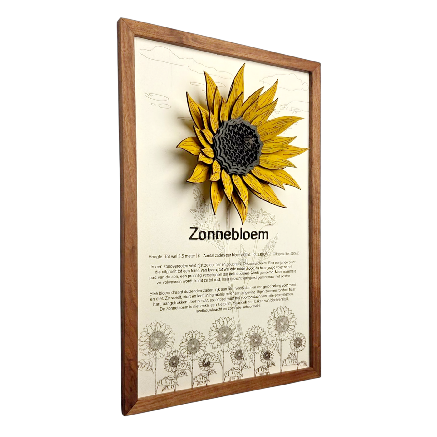 Zonnebloem Poster