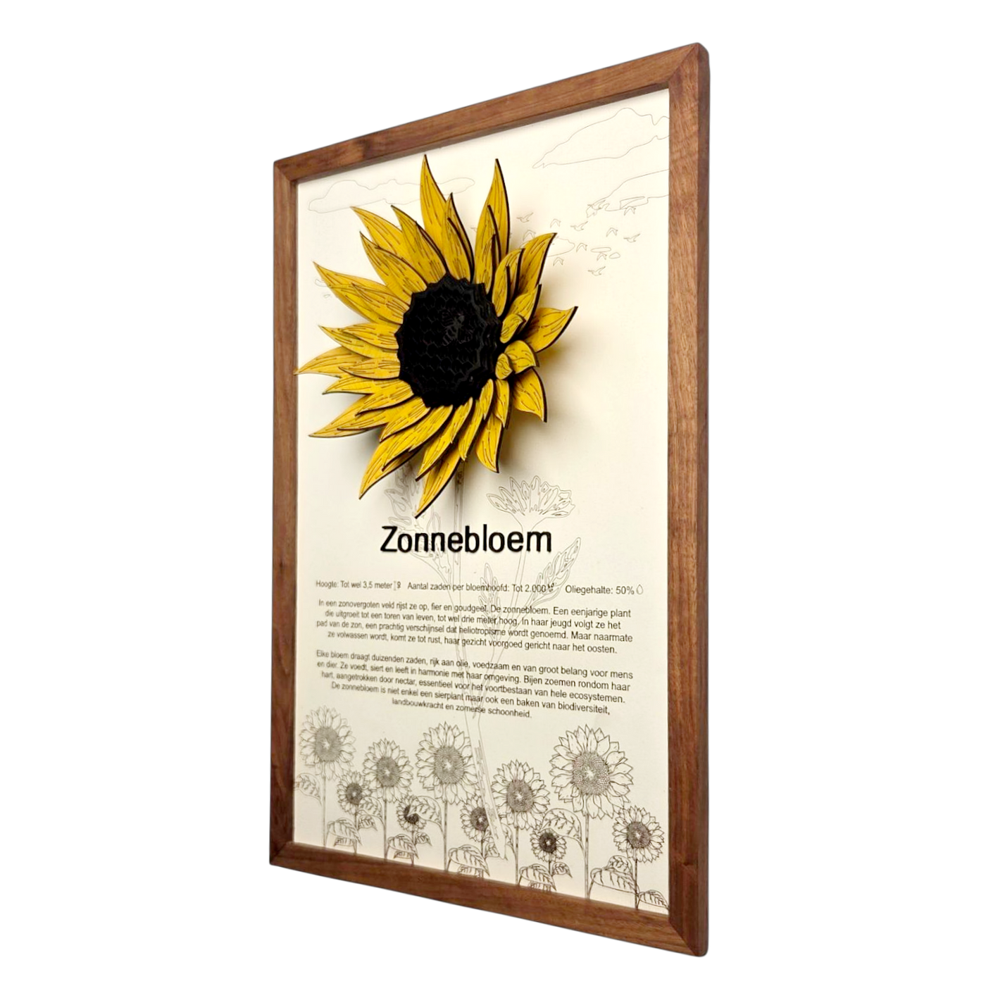 Zonnebloem Poster