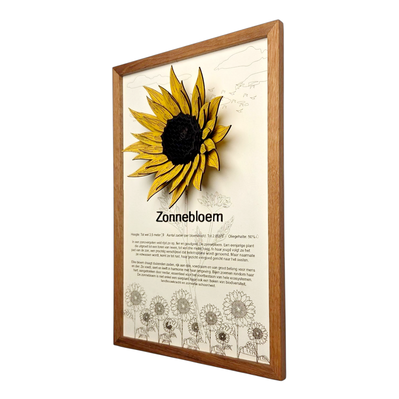 Zonnebloem Poster