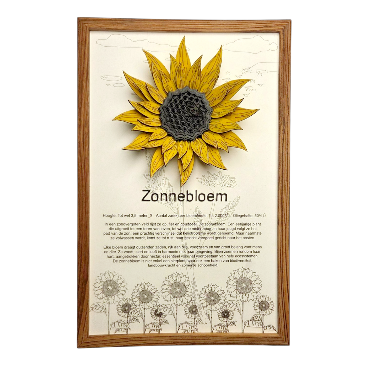 Zonnebloem Poster