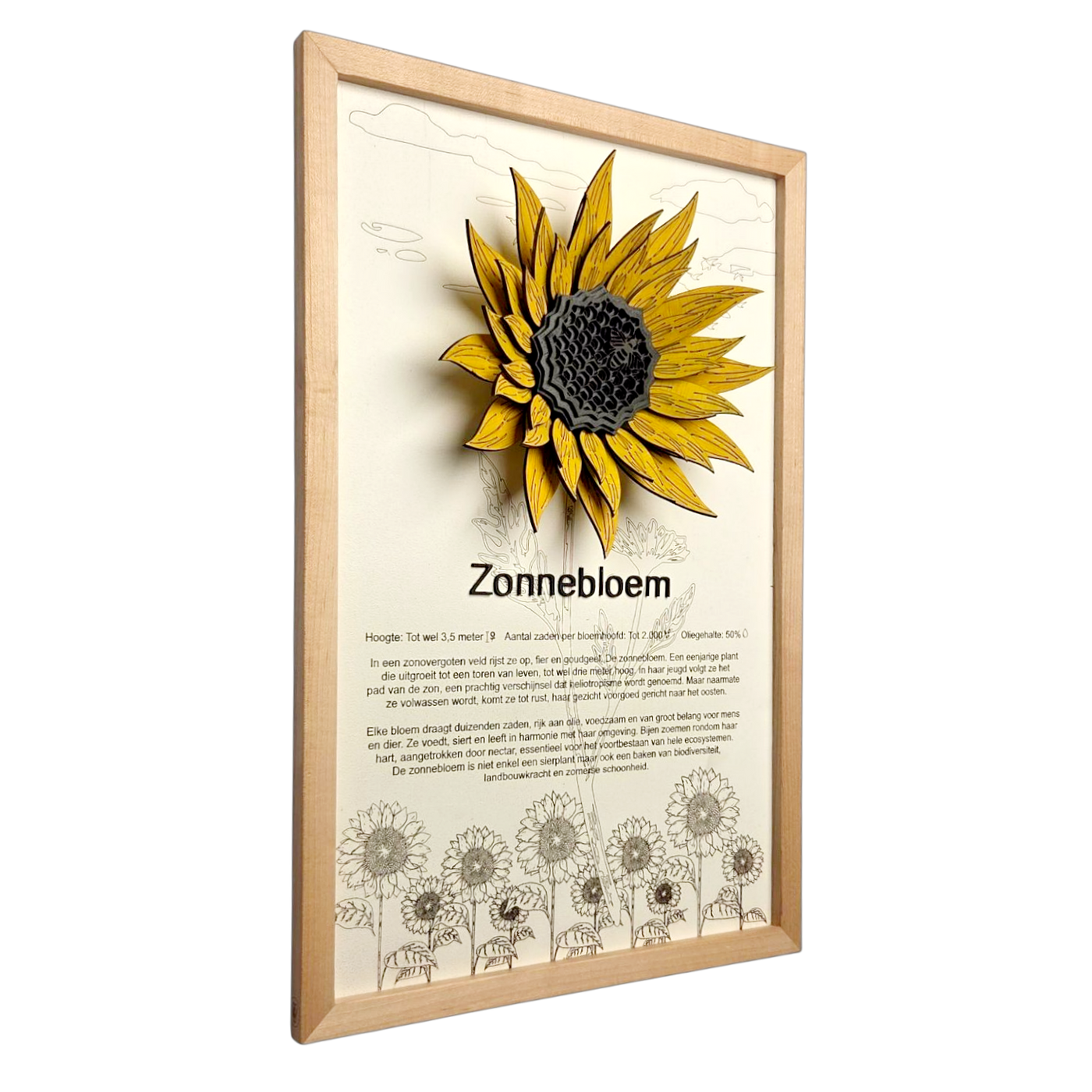 Zonnebloem Poster