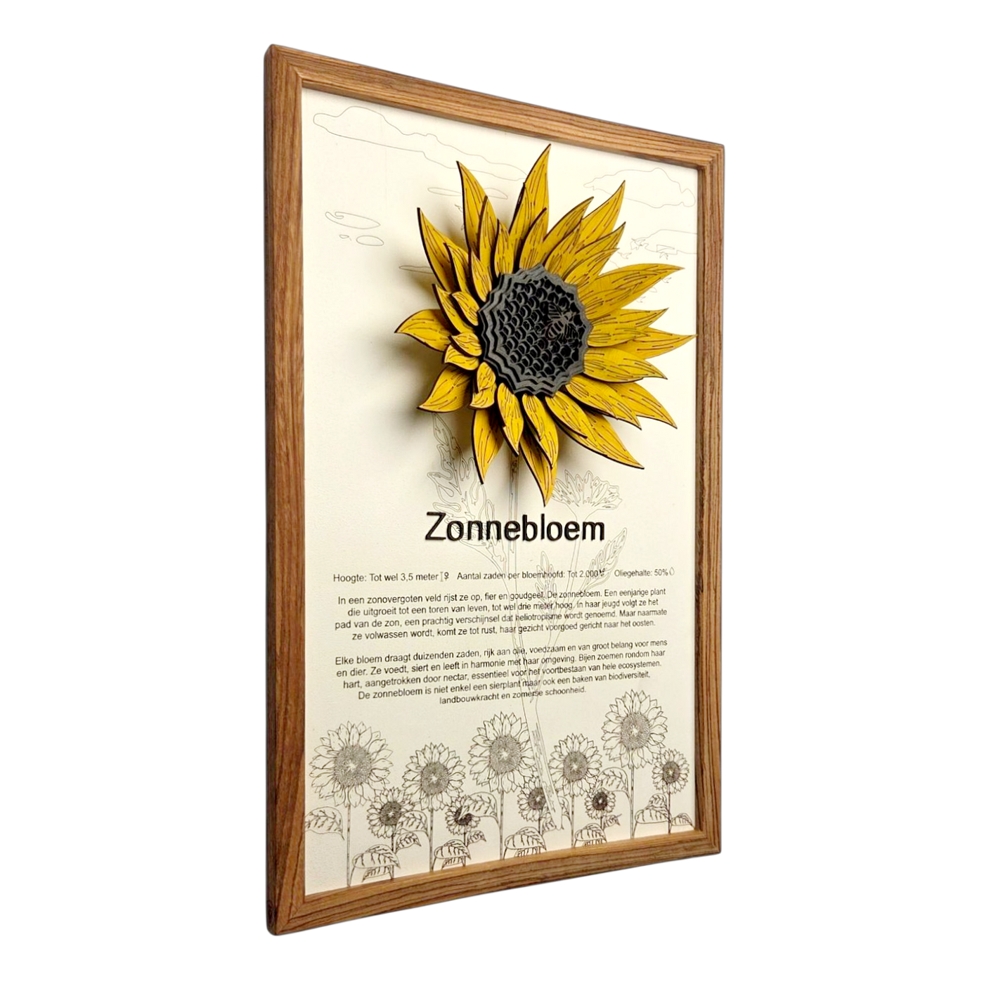 Zonnebloem Poster