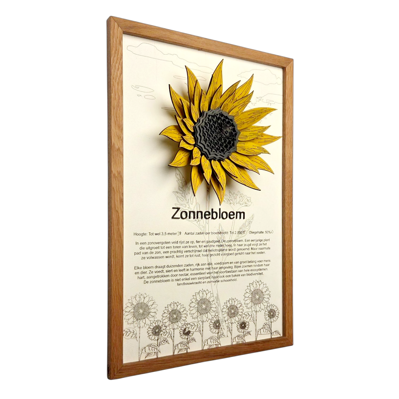 Zonnebloem Poster