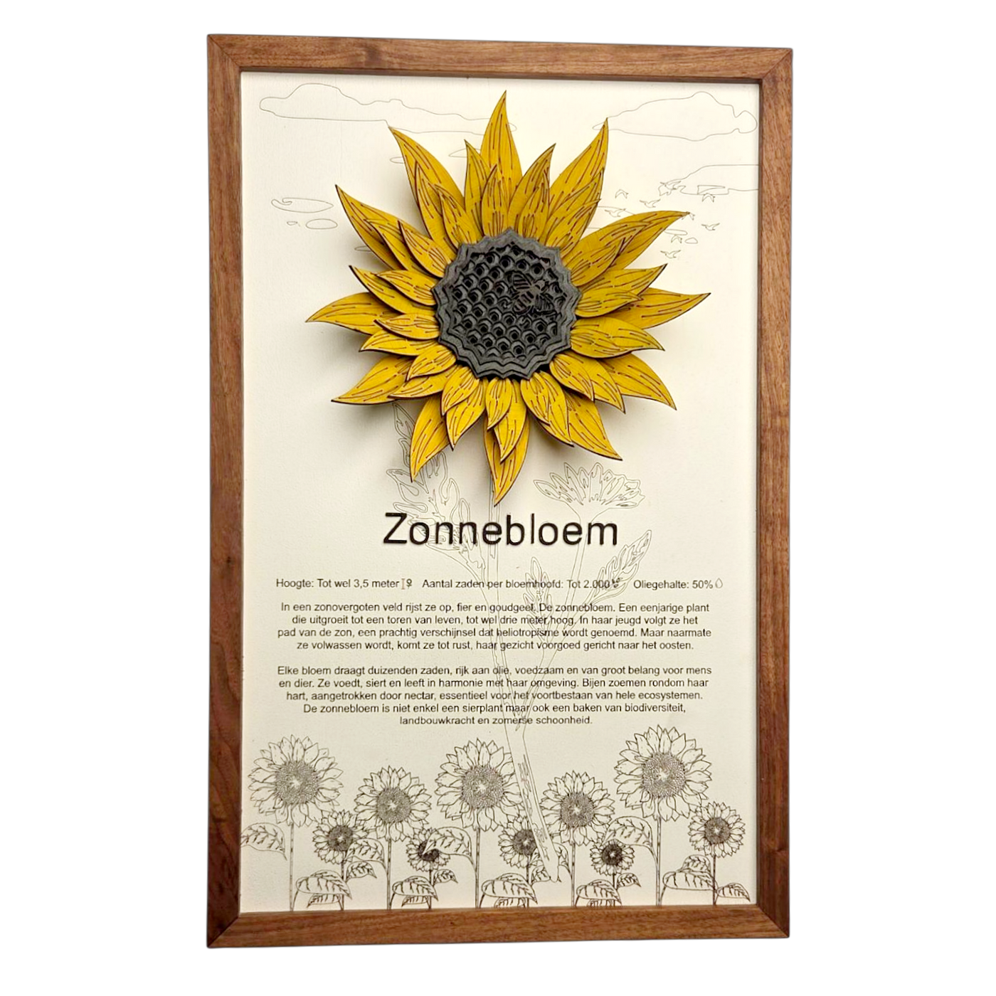 Zonnebloem Poster
