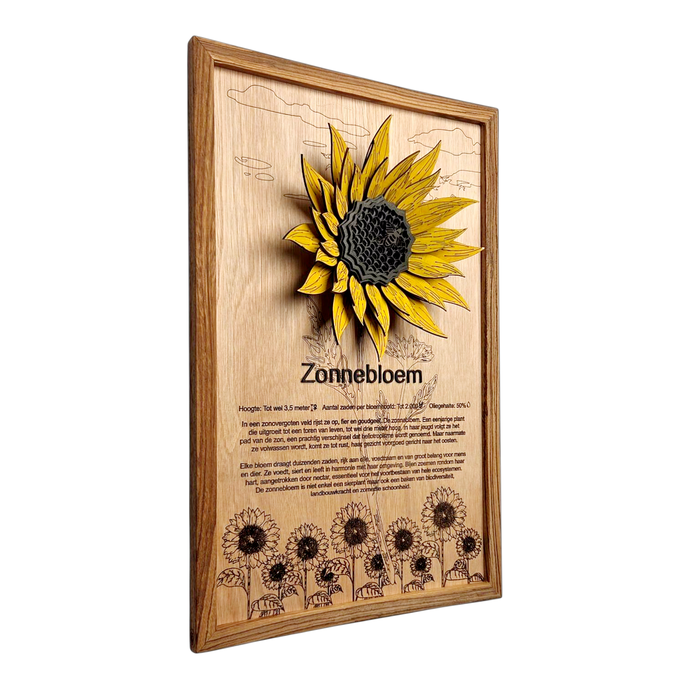 Zonnebloem Poster