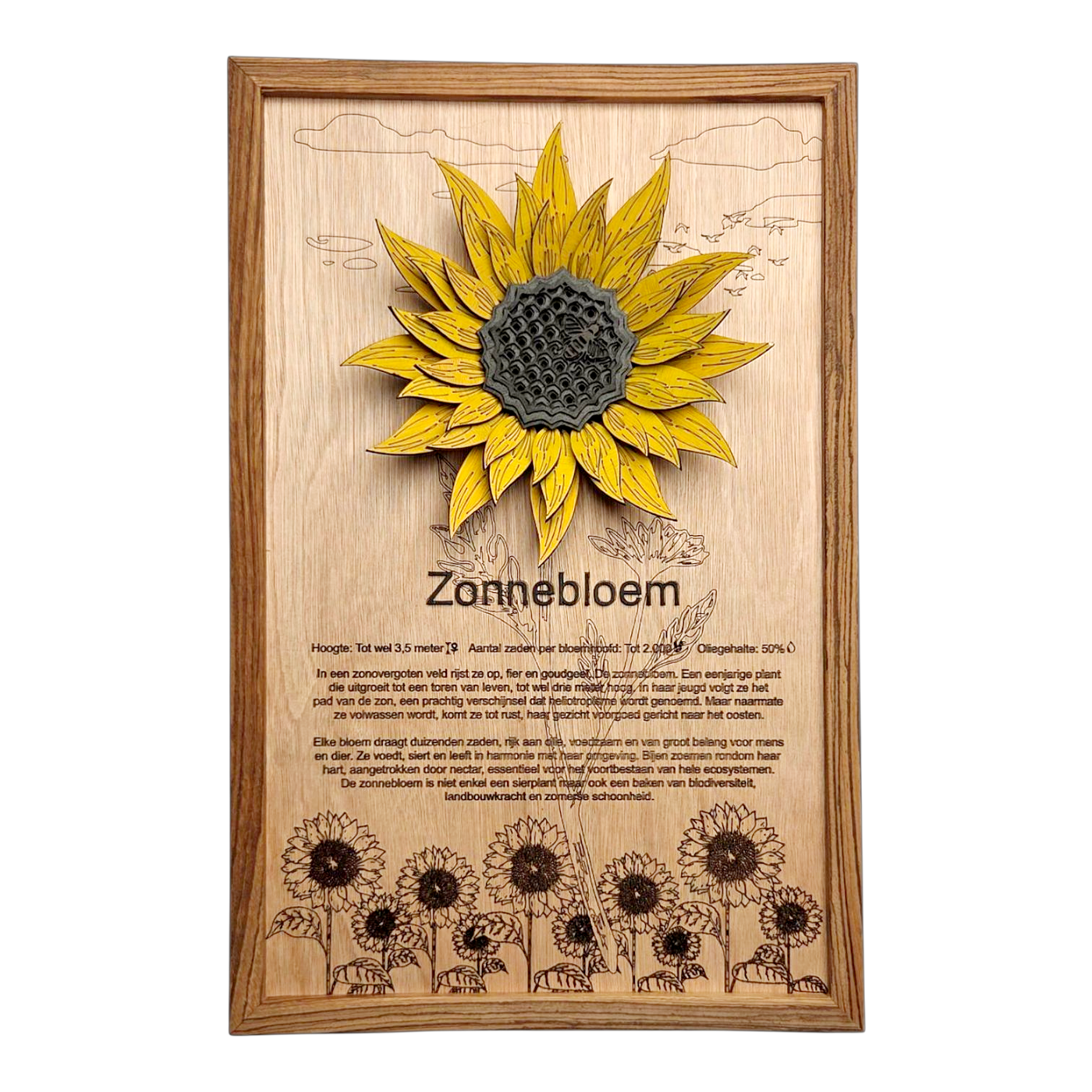 Zonnebloem Poster