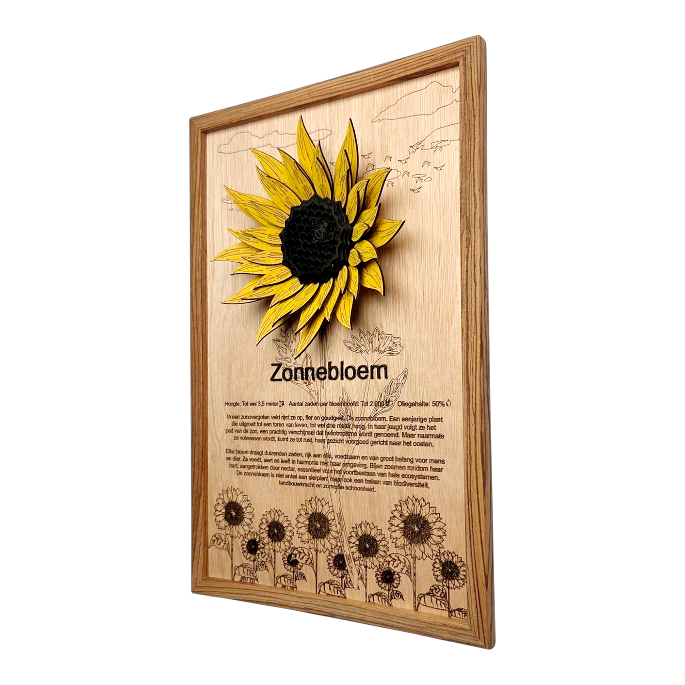 Zonnebloem Poster