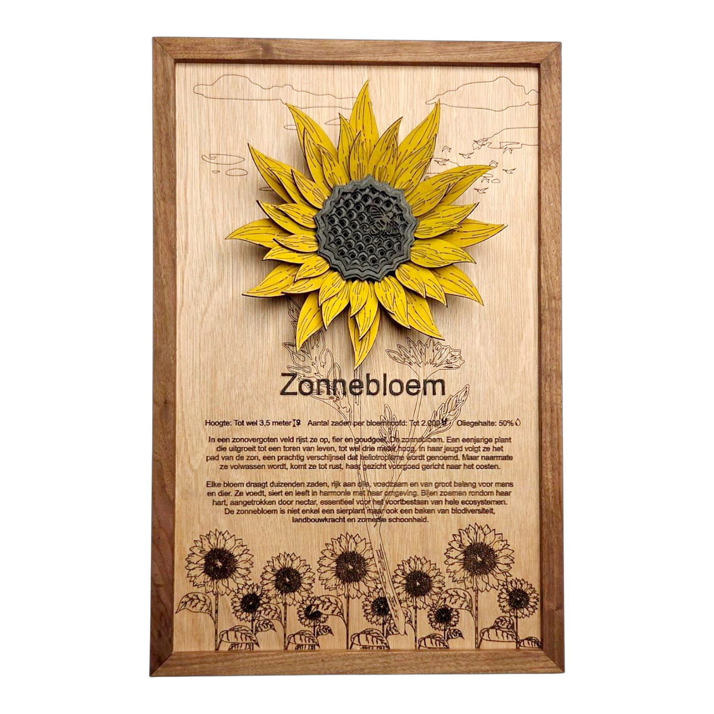 Zonnebloem Poster