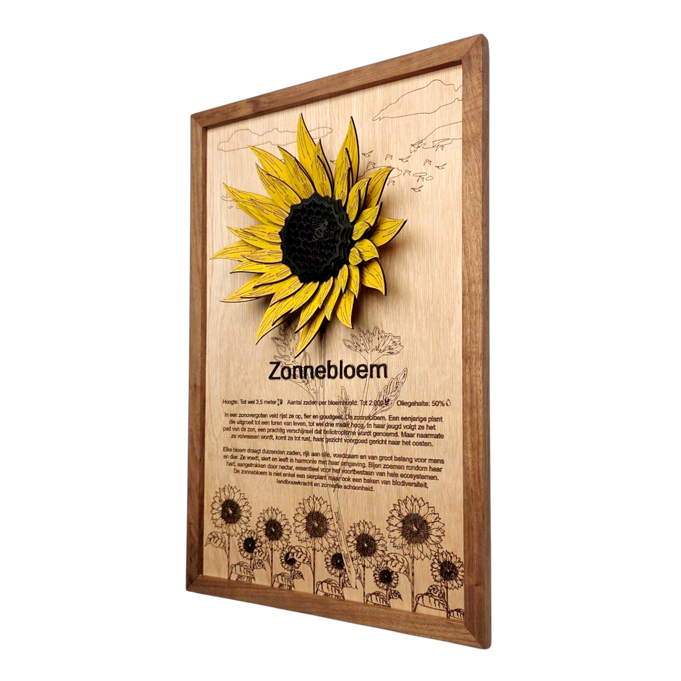 Zonnebloem Poster