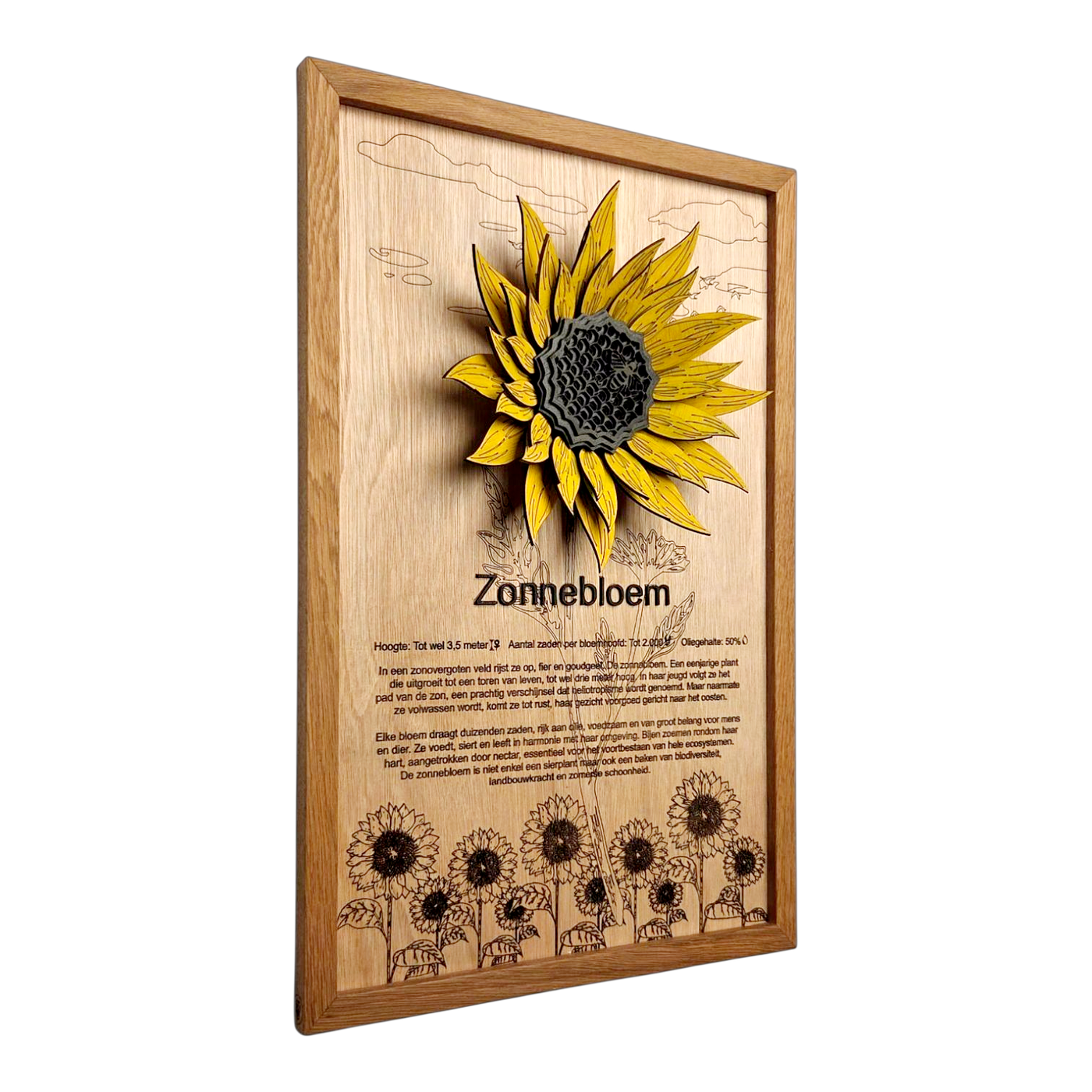 Zonnebloem Poster