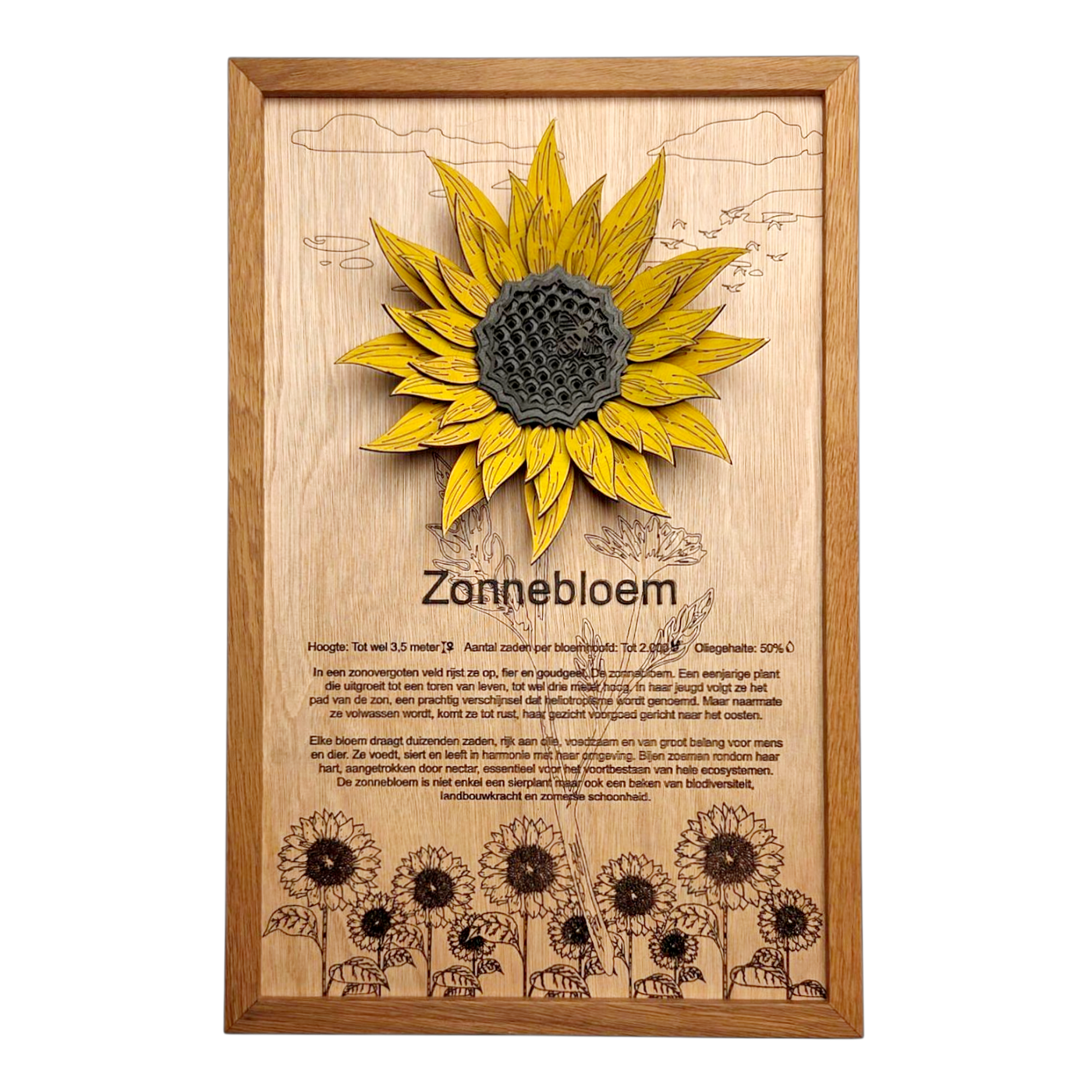 Zonnebloem Poster