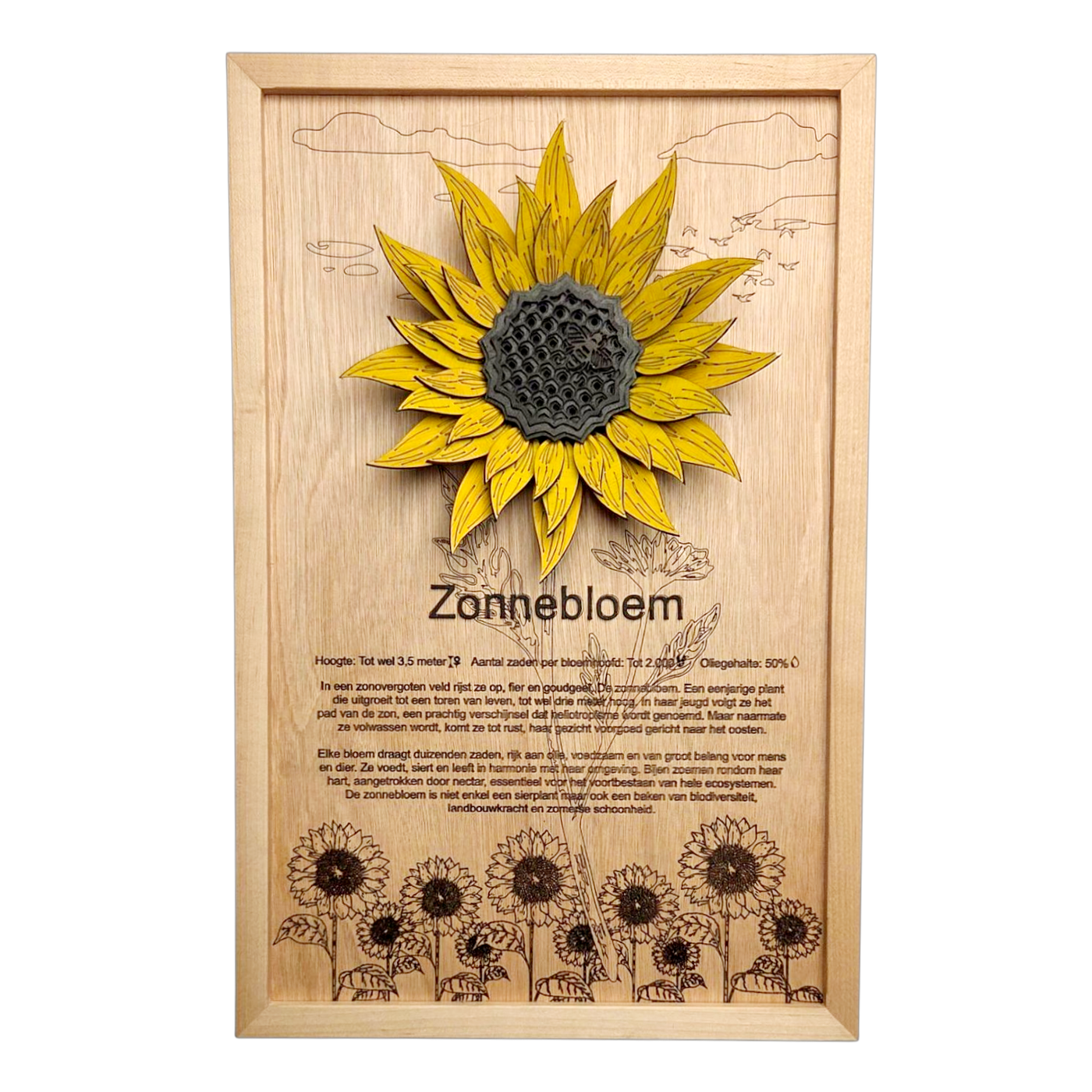 Zonnebloem Poster