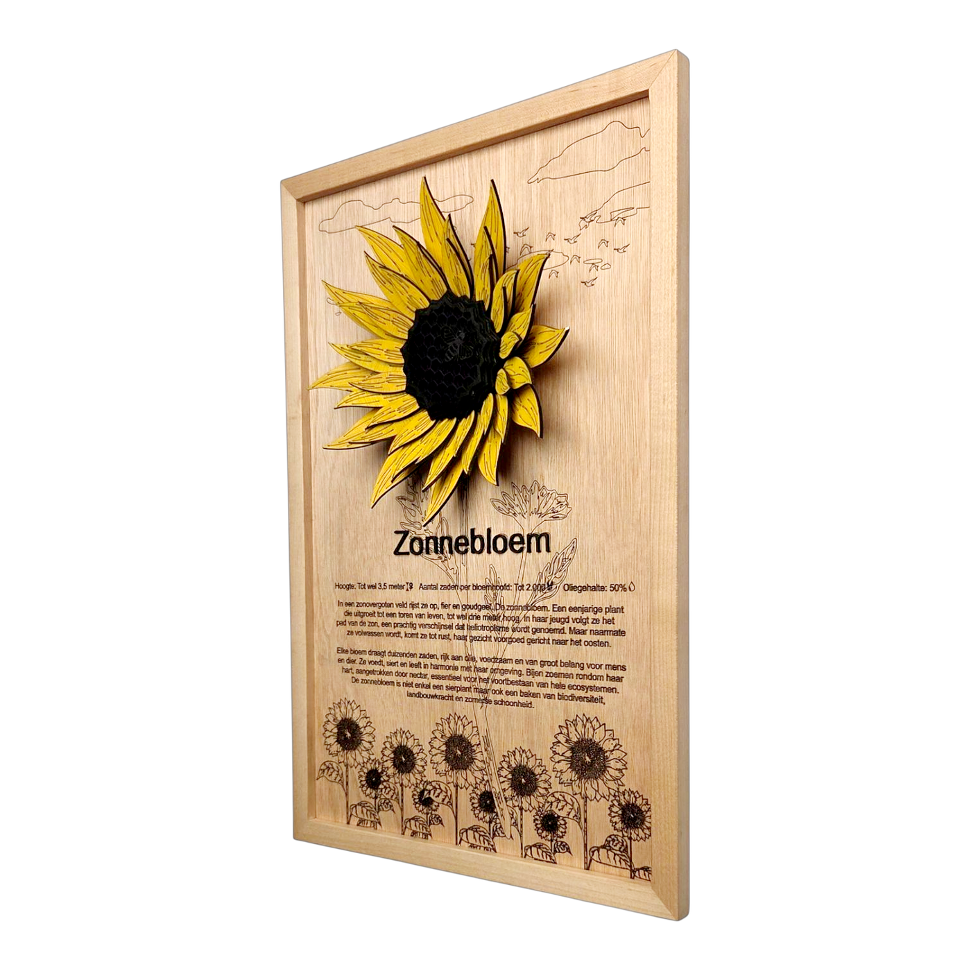Zonnebloem Poster