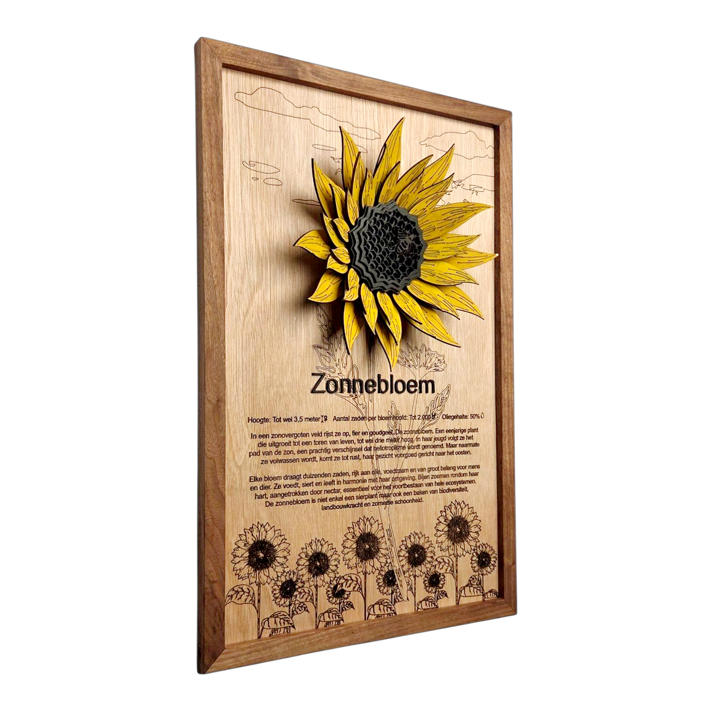 Zonnebloem Poster