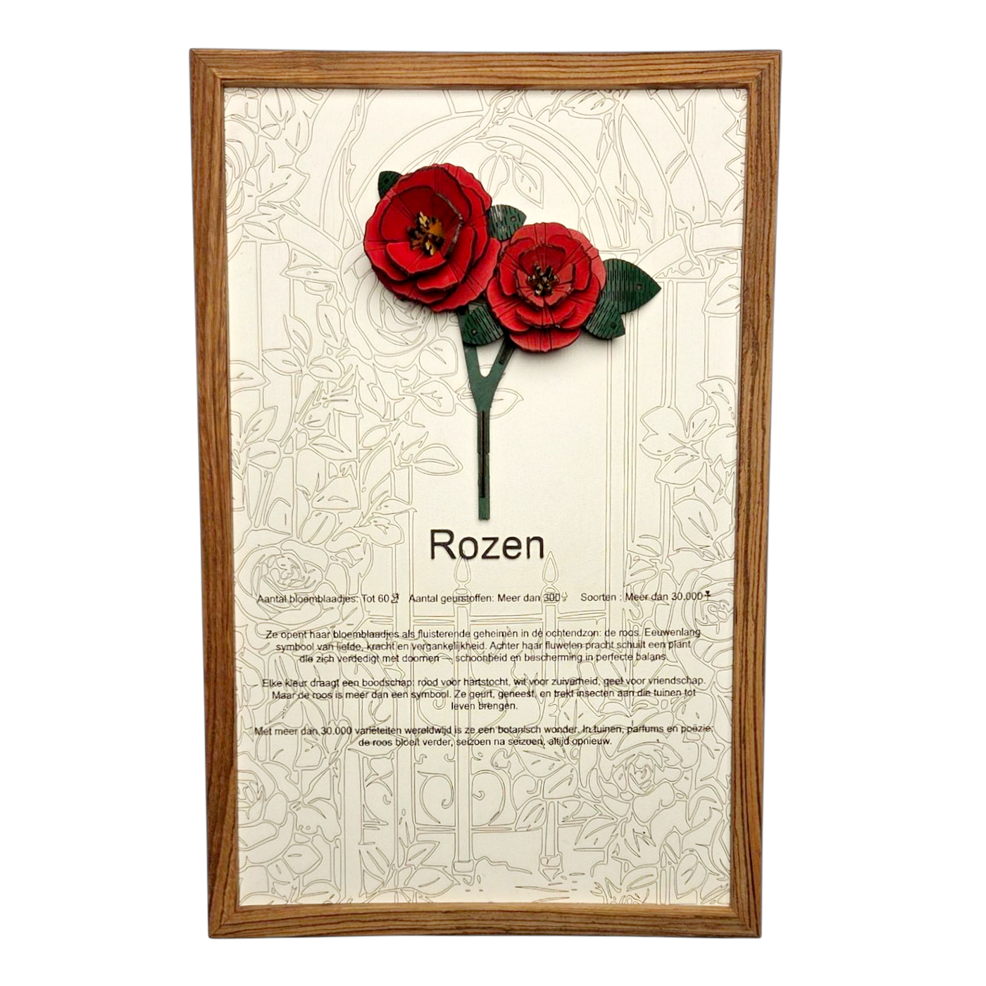 Rozen Poster