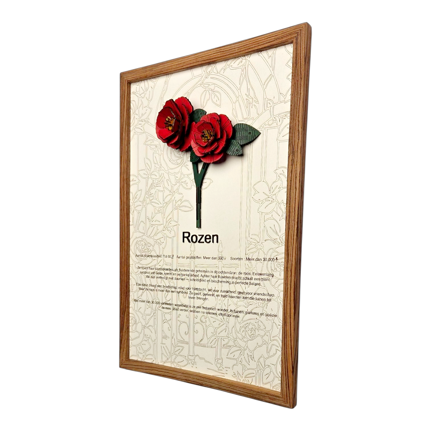 Rozen Poster