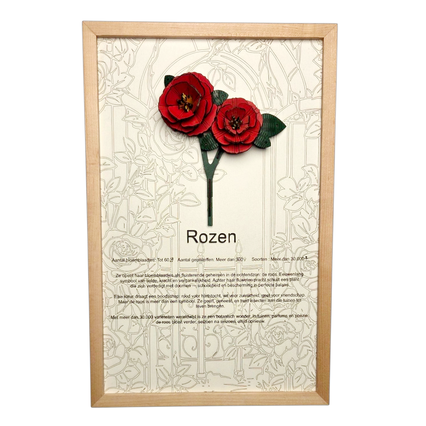 Rozen Poster