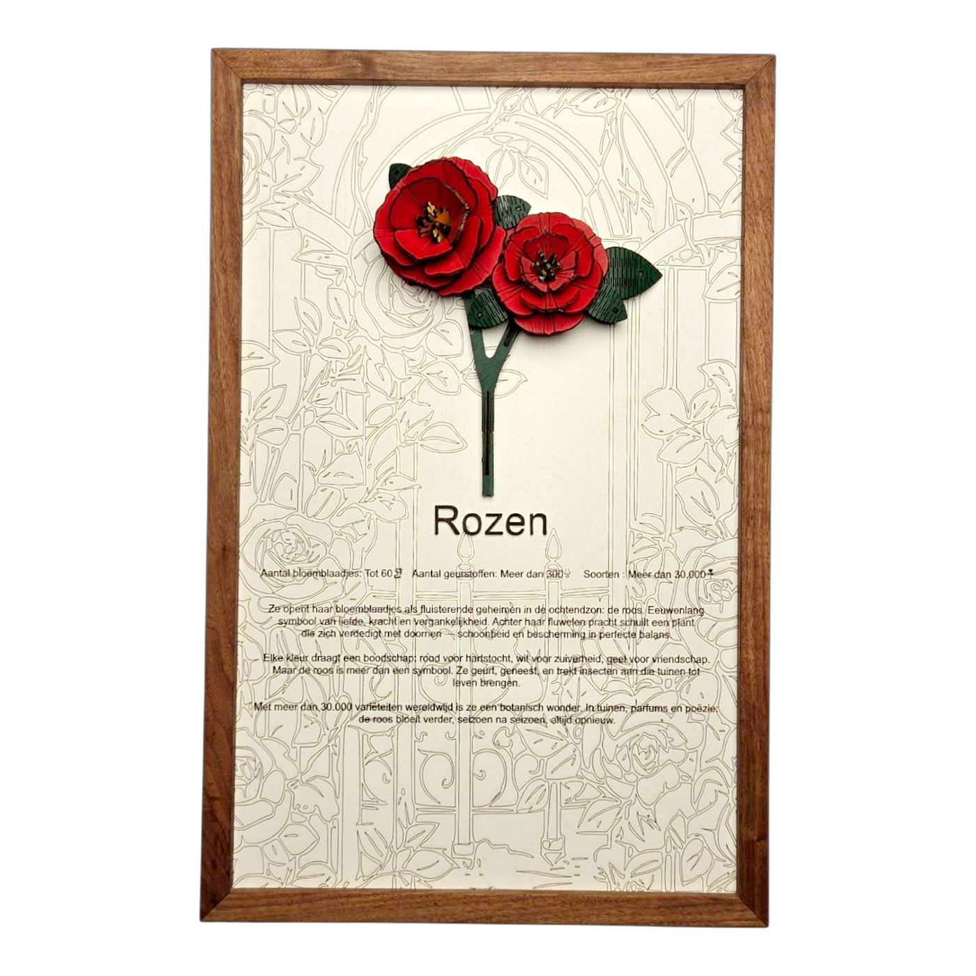 Rozen Poster